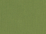 Sunbrella Spectrum Cilantro (48022-0000)
